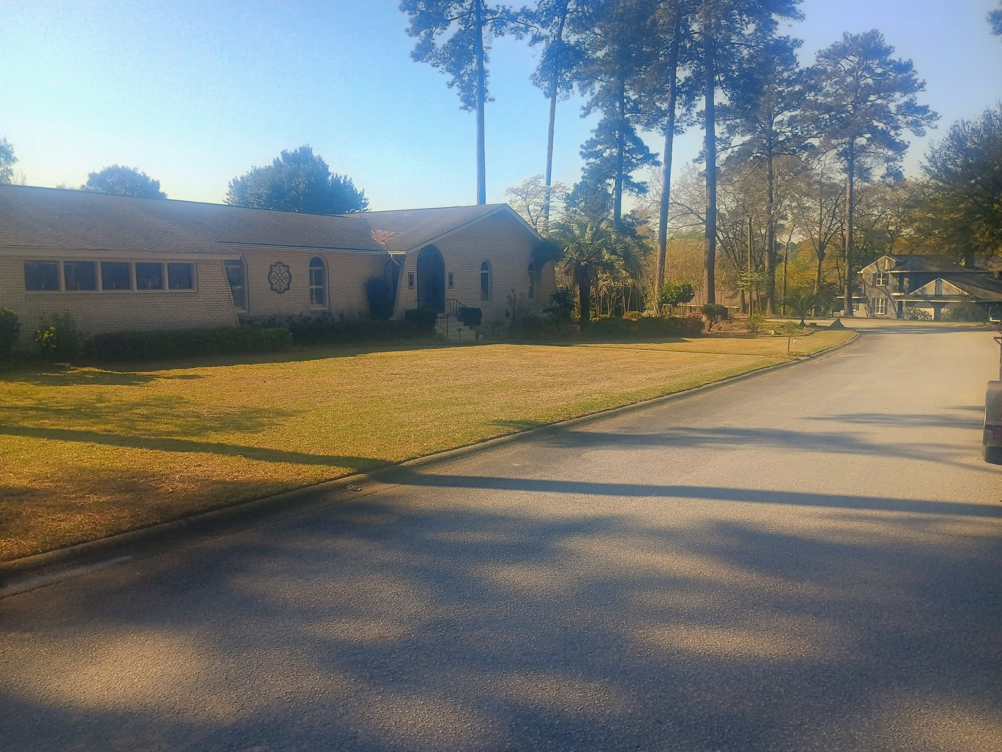 Lawn Cleaning